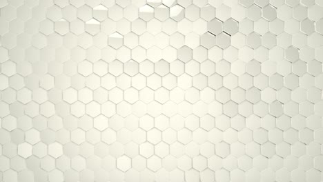 white-hexagonal-honeycomb-surface